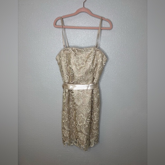 Adrianna Papell Strapless Lace Sheath Dress Champagne Size 10 - Picture 6 of 10